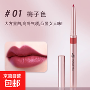 唇筆唇線(xiàn)筆防水持久正品官方旗艦店豐唇勾線(xiàn)不掉色口紅筆2025新款 1#梅子色【高冷氣質(zhì)】