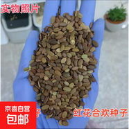 花卉林木種子  草坪種子 復綠 護坡 草籽 草皮種子庭院綠化工程 紅花合歡種子 500克（更實(shí)惠）