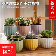 大口徑拼盤(pán)多肉花盆陶瓷素燒透氣個(gè)性粗陶桌面造景綠植手繪小花盆 花瓣馬卡龍組合6個(gè) 【看圖標注】