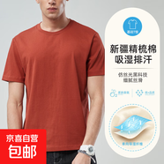 仿絲光半袖寬松透氣短袖t恤吸汗簡(jiǎn)約休閑打底衫圓領(lǐng)百搭上衣F2109 銹紅色 2XL