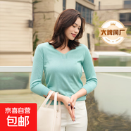 【阿瑪尼制造商】領(lǐng)萊塞爾天絲針織衫上衣女套頭衫氣質(zhì)短袖T恤 水蘭 XL （120-130斤）