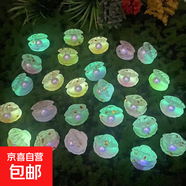 仿真夜光珍珠七彩貝殼兒童迷你微縮小擺件洞洞鞋配件發(fā)夾發(fā)繩材料 彩色珍珠貝殼【2個(gè)】