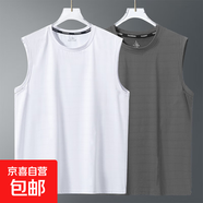 冰感運(yùn)動背心男2025新款籃球服冰絲透氣速干上衣健身無袖國潮t恤 純白+純灰【光版蝴網(wǎng)背心】 5XL 建議180-200斤