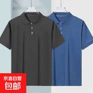 夏季薄款POLO衫男士冰絲透氣短袖t恤男寬松翻領(lǐng)休閑體恤男百搭 純灰+純藍【光版蝴網(wǎng)POLO衫】 4XL 建議160-180斤