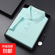 高端冰絲polo衫男士短袖T恤夏季2025新款商務(wù)翻領(lǐng)痞帥氣男款上衣 淺綠 2XL