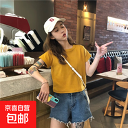 短款修身短袖t恤女夏季2025新款內搭外穿ins超火正肩上衣體恤003 黃色 2XL 參考120-130斤