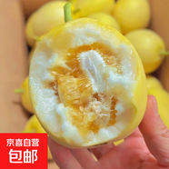 山東新下頭茬黃河蜜罐景甜5號(hào) 景甜5號(hào)1.5斤