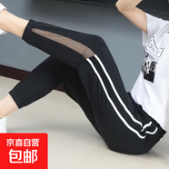 大碼運(yùn)動(dòng)褲子空調(diào)九分褲薄款2025春夏網(wǎng)紗休閑跑步哈倫褲女燈籠褲 黑色 L 【建議100-115斤】