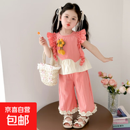 女童夏季套裝2025新款洋氣3-6兒童衣服短袖花朵小女孩兩件套1-3歲 粉色 薄款 120 cm