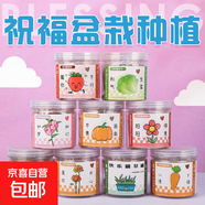 【春季】植物創(chuàng)意小盆栽栽培桌面迷你綠植草莓向日葵種植種子盲盒 植物盲盒（隨機(jī)1罐）種植小盆栽
