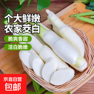 云南新鮮茭白當季時令農(nóng)家蔬菜清甜脆嫩新鮮高筍茭兒菜茭瓜生鮮 新鮮茭白帶箱4斤
