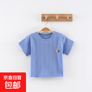 0-6歲夏款純棉兒童短袖T恤提花網(wǎng)孔透氣嬰童半袖寶寶上衣A類無骨 霧藍 100 （身高90-100cm）