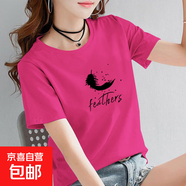 純棉短袖t恤女夏季新款寬松顯瘦半袖圓領(lǐng)印花媽媽裝上衣服打底衫 玫紅【fed黑羽毛】 2XL 【建議120-130斤】