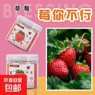 【春季】植物創(chuàng)意小盆栽栽培桌面迷你綠植草莓向日葵種植種子盲盒 莓你不行（草莓）種植小盆栽