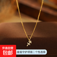 跨境新品S925銀十二星座項鏈女立體符文輕奢鑲鉆設(shè)計感鎖骨鏈頸鏈 【黃金色-射手座】 無規(guī)格