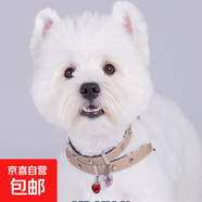 【施華洛世奇項圈】狗項圈針扣款頭層牛皮寵物項圈嵌奧地利水晶 黛軍綠 荔枝紋牛皮 S-小型 32-40 cm 針扣項圈 頭層牛皮