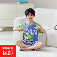 柏姬然2025新款兒童睡衣夏季棉質(zhì)短袖薄款套裝男童男孩大童青少年 33116# L