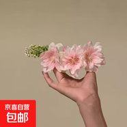 百花密春-明媚黃色花朵發(fā)夾氛圍感側(cè)邊碎發(fā)夾頭花盤發(fā)旅行發(fā)卡 大花朵發(fā)梳粉色1個