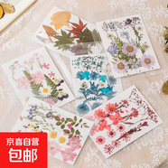 干花壓花材料包樹(shù)葉植物標本押花花瓣DIY書(shū)簽寫(xiě)真貼臉手機殼裝飾 魅藍花束（6款-15朵）