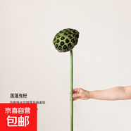 荷花仿真花假花擺設荷葉蓮蓬客廳花藝擺件餐廳插花佛堂禪意裝飾花 有籽蓮蓬 無(wú)規格