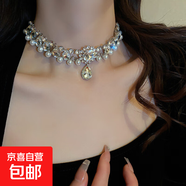 真金電鍍珍珠鑲鉆花朵項(xiàng)鏈小眾時(shí)尚百搭鎖骨鏈氣質(zhì)輕奢高級(jí)感飾品 10#項(xiàng)鏈-常規(guī)-銀色