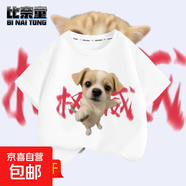 權威拳頭小貓表情包短袖男童t恤女誰(shuí)給我饅頭誰(shuí)給我拳頭沙雕學(xué)生 白色-T207權威小狗 160
