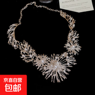 歐美夸張花朵珍珠耳環(huán)項鏈女高端輕奢禮服鎖骨鏈小眾簡(jiǎn)約百搭項飾 項鏈-銀色