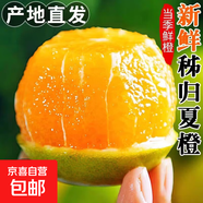 京喜加【25年鮮橙】湖北秭歸橙子新鮮采摘夏橙當(dāng)季新鮮水果【8甜2酸】 帶箱1斤55-60mm