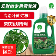 發(fā)財樹肥料專用肥發(fā)財樹營養(yǎng)液室內(nèi)專用肥料改善發(fā)財樹黃葉掉葉 2瓶發(fā)財樹專用營養(yǎng)液