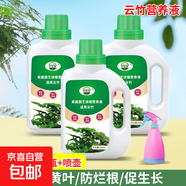云竹營(yíng)養液治黃葉花肥云竹專(zhuān)用肥料云松水培盆栽免稀釋液體肥養護 云竹營(yíng)養液500ml×3瓶＋噴壺