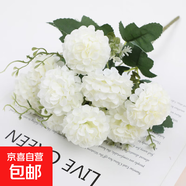 假花仿真花束單支塑料雛菊玫瑰絹布干花花壇柵欄小把工程插花裝飾 淺歐小球菊白色一個(gè)