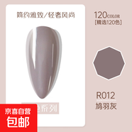 RISYAL甲油膠批發(fā)新款UV光療膠果凍膠貓眼膠全套冰透美甲膠美甲店 R012 鳩羽灰