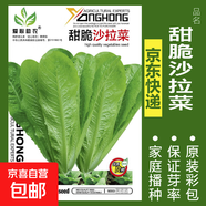 蔬菜種子四季播盆栽陽(yáng)臺庭院香菜生菜菠菜蘿卜蔥簡(jiǎn)單易種籽孑大全 甜脆沙拉菜約1000粒