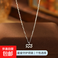 跨境新品S925銀十二星座項鏈女立體符文輕奢鑲鉆設計感鎖骨鏈頸鏈 【白金色-水瓶座】 無(wú)規格