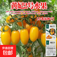 【京東物流】番茄種子盆栽番茄陽(yáng)臺盆栽農家田園大全各種各樣 黃妃2號番茄種子1包約200粒