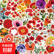 精美創(chuàng)意花兒貼紙裝飾手機(jī)殼筆記本吉他趣味防水手賬貼紙 50張大紅花貼紙