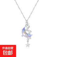 月濺星河流蘇吊墜項鏈配飾女2025新款精致鎖骨鏈輕奢小眾頸鏈 月濺星河項鏈1個 FX款 無規(guī)格