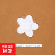白色蕾絲補(bǔ)丁貼免縫自粘修補(bǔ)蚊帳裙子紗裙破洞歐根紗刺繡花朵布貼 3#（1個(gè)裝）自粘免縫