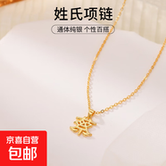 新中式S925純銀百家姓項鏈女簡(jiǎn)約百搭姓氏小眾設計感鎖骨鏈配飾潮 C黃金【蔡】 925銀