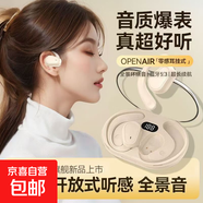 【柏林之聲25款】網(wǎng)紅款運(yùn)動(dòng)長續(xù)航新款無線藍(lán)牙耳機(jī)開放不入耳掛式骨傳導(dǎo)耳機(jī) D88【零感掛耳式】膚色