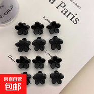 前額公主頭小抓夾發(fā)卡小號(hào)碎發(fā)夾子頭飾發(fā)夾女網(wǎng)紅側(cè)邊劉海夾卡子 花朵款黑色12個(gè)