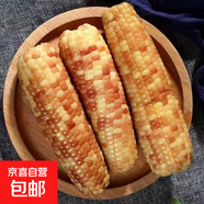 正宗云南西雙版納真空花糯玉米代餐減脂神器獨立包裝方便攜帶 精品真空花糯玉米5斤