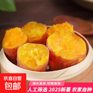龍九蜜薯紅薯烤地瓜現(xiàn)挖番薯 農(nóng)家自種新鮮生鮮蔬菜優(yōu)質(zhì)粗糧整箱 嘗鮮裝250g 單果1兩+ 源頭直采包郵