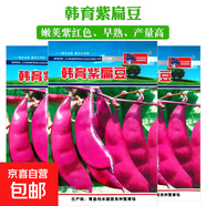 早熟紅眉豆種子高產(chǎn)紫扁豆早青扁豆綠扁豆瓠瓜條瓠種籽短蒲瓜蔬菜 韓育種業(yè)韓育紫扁豆種子【7克】