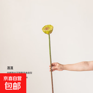 荷花仿真花假花擺設荷葉蓮蓬客廳花藝擺件餐廳插花佛堂禪意裝飾花 蓮蓬綠色 無(wú)規格