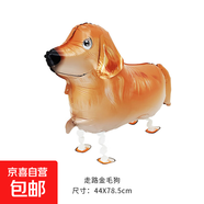 網(wǎng)紅溜達狗擺攤街賣(mài)公園幼兒園夜市戶(hù)外玩具氣球鋁膜站立柯基小狗 小狗氣球-金毛-帶繩子-1個(gè)
