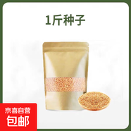 小寵用品貓草種子小麥水培土培化毛懶人貓麥草籽營(yíng)養食用薄荷植物 當季新種子/貓草種子1斤