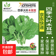 蔬菜種子四季播盆栽陽(yáng)臺庭院香菜生菜菠菜蘿卜蔥簡(jiǎn)單易種籽孑大全 四季大葉木耳菜約100粒