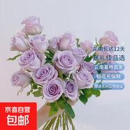 【稀有玫瑰花】滇原花卉氣場海洋卡布奇諾云南鮮花基地七夕節(jié)禮物 海洋之歌/紫霞隨機發(fā)貨 10枝長度40cm起