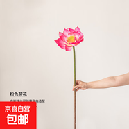 荷花仿真花假花擺設荷葉蓮蓬客廳花藝擺件餐廳插花佛堂禪意裝飾花 荷花粉色 無(wú)規格